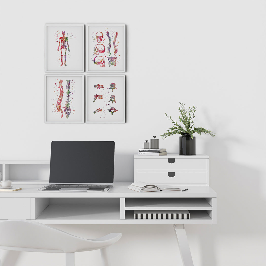 Set of 4 Anatomical Art Prints for Chiropractic Office Decor