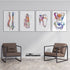 Anatomical Set of 4 Colorful Prints - Physiotherapist Office Decor