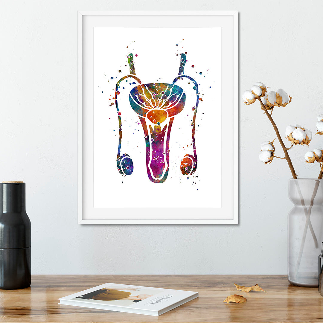 Male Reproductive System Anatomical Watercolor Art Print