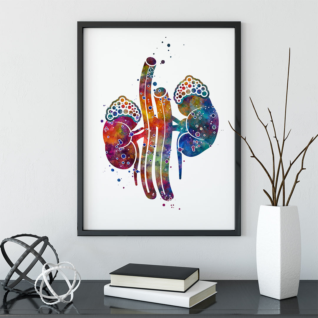 Kidney with Adrenal Gland Watercolor Art Print