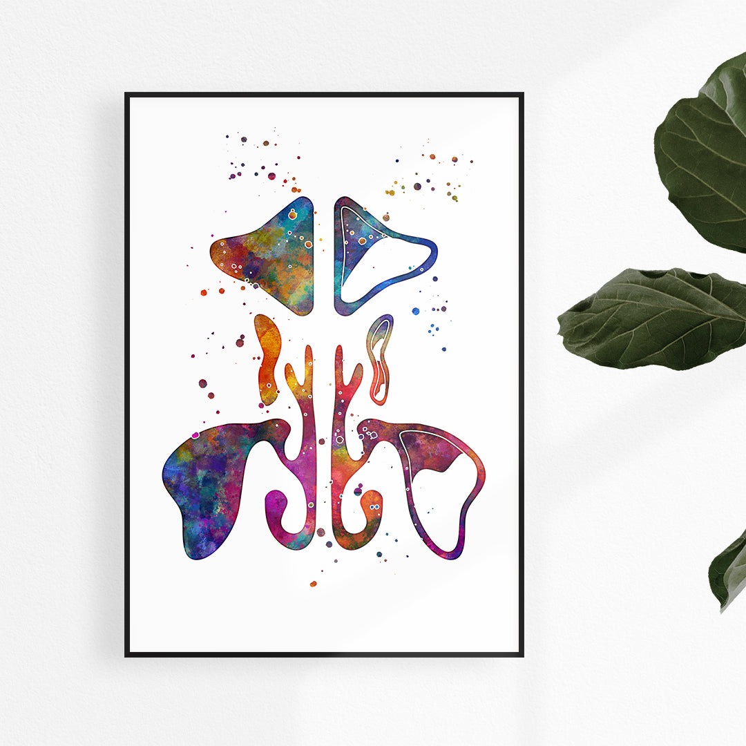 Paranasal Sinuses Watercolor Anatomy Art Print