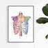 Human Chest Skeleton Rib Cage Anatomy Watercolor Art Print