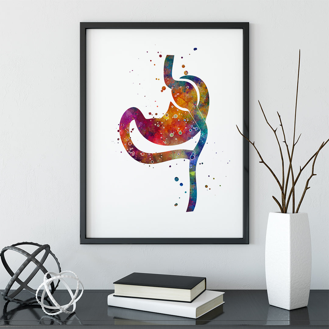 Roux En Y Gastric Bypass Anatomy Art Print