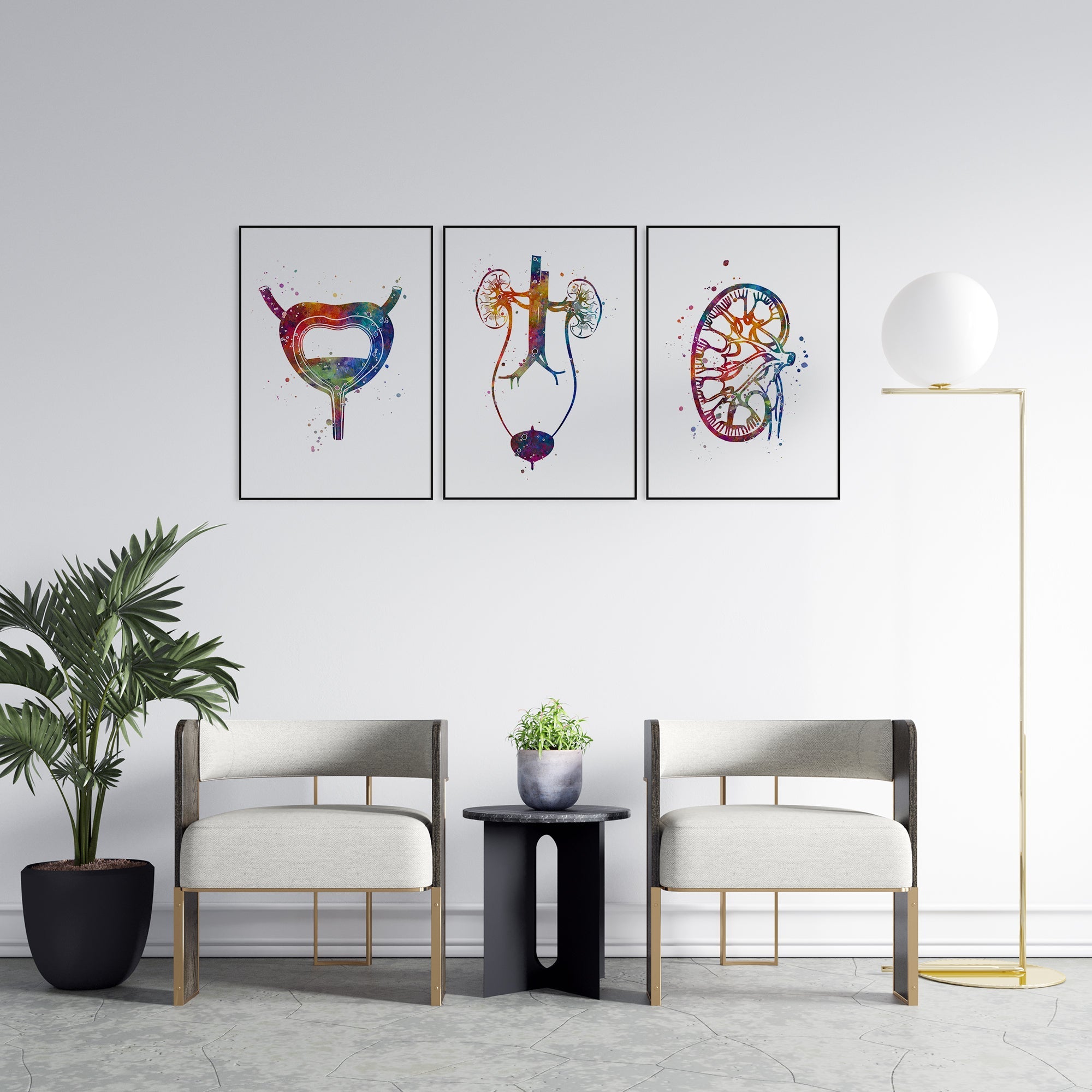 Urology Watercolor Anatomical Art Prints Set of 3