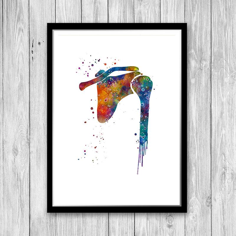 Shoulder Joint Watercolor Anatomy Art Print