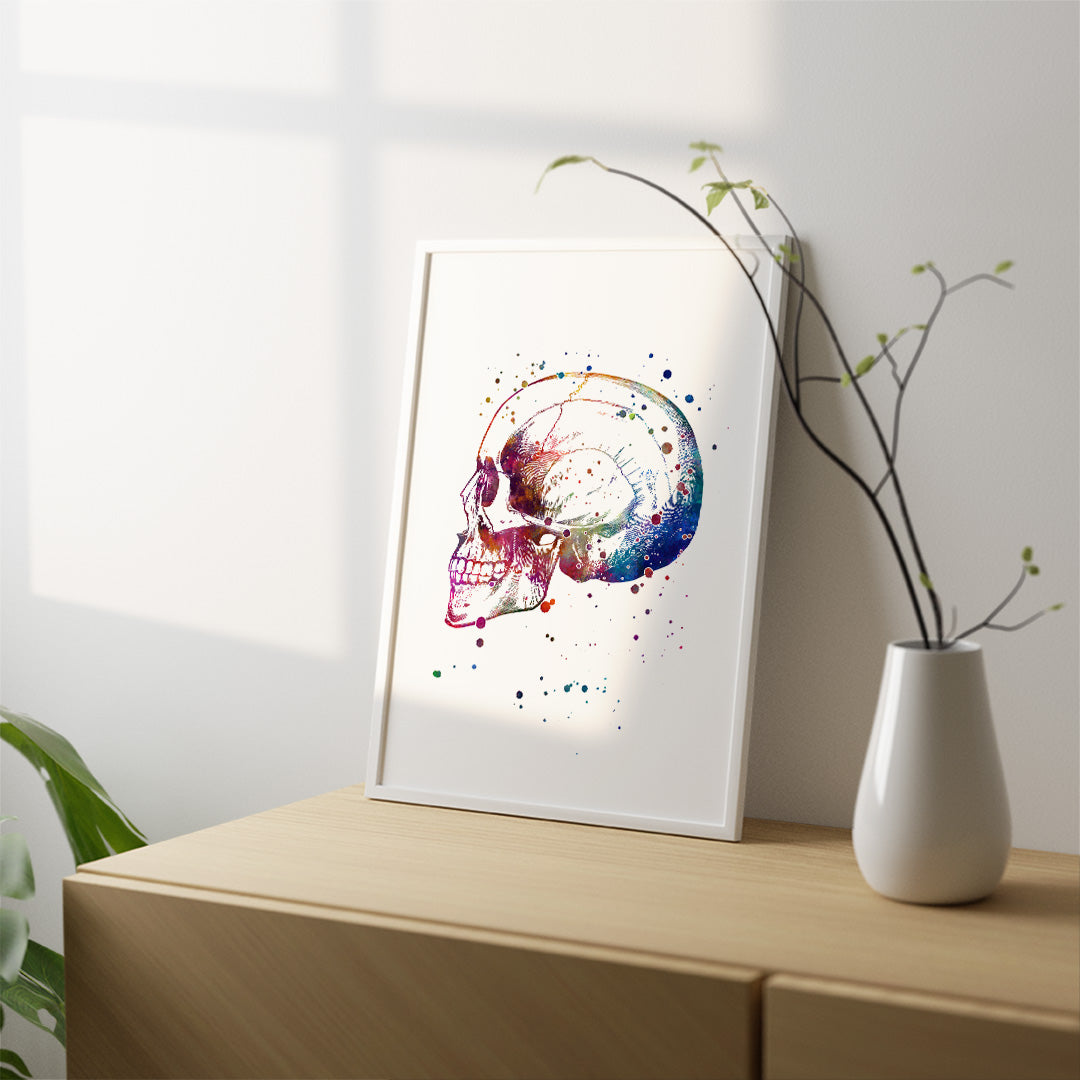 Skull Anatomy Watercolor Print – Medical Office Wall Art