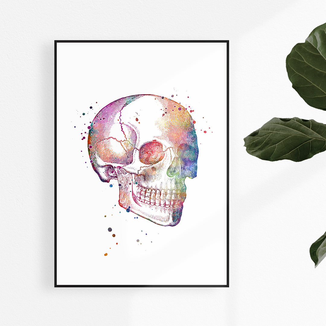 Human Skull Print – Watercolor Medical Wall Art