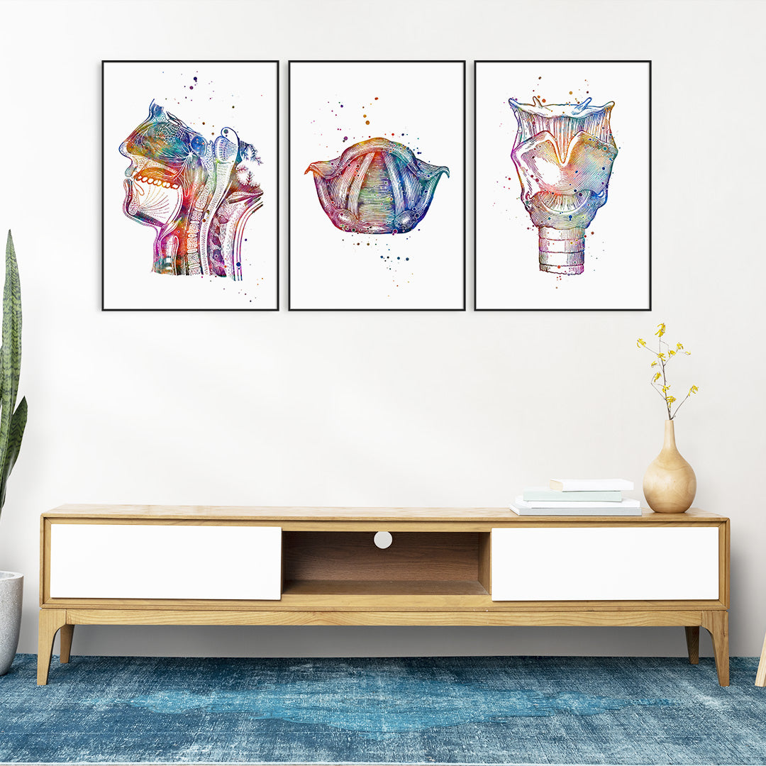 Speech Language Therapy Wall Art – Set of 3 Anatomy Prints