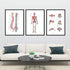 Spine Skeleton and Vertebral Bones Set of 3 watercolor prints