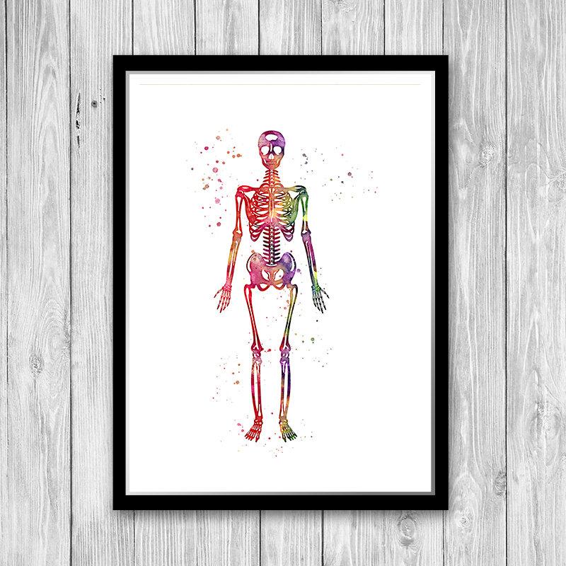 Spine Skeleton and Vertebral Bones Set of 3 watercolor prints