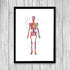 Spine Skeleton and Vertebral Bones Set of 3 watercolor prints