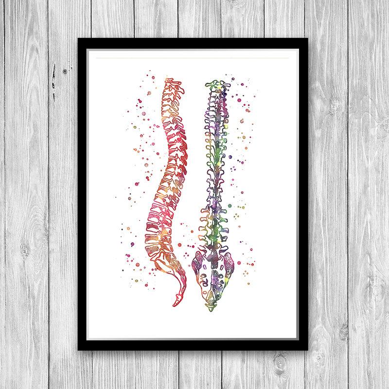 Spine Skeleton and Vertebral Bones Set of 3 watercolor prints