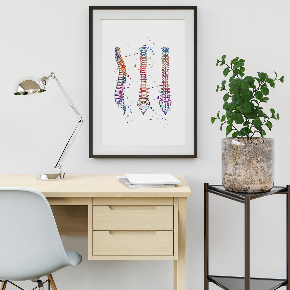 Human Spine Anatomical Watercolor Art Print