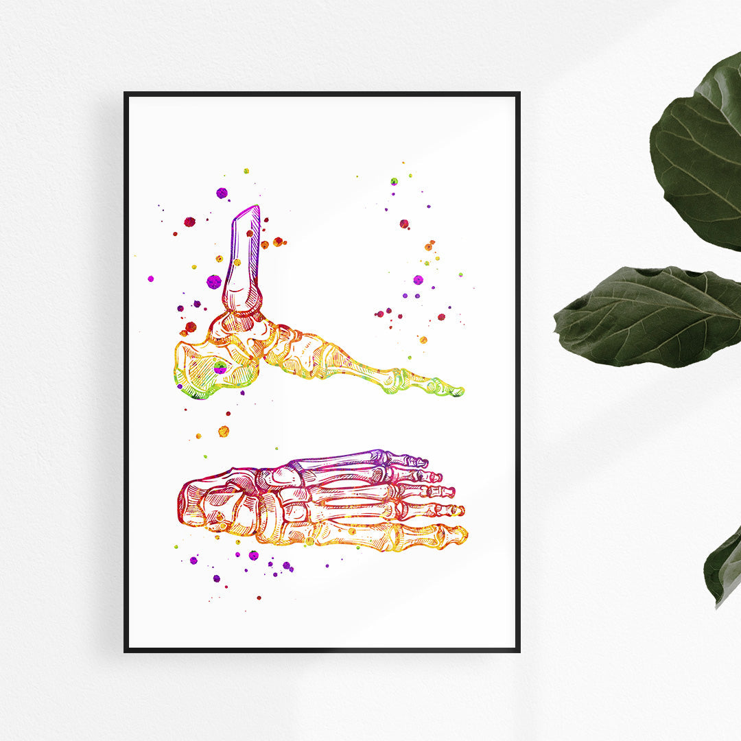 Watercolor Foot and Ankle Anatomy Art Print