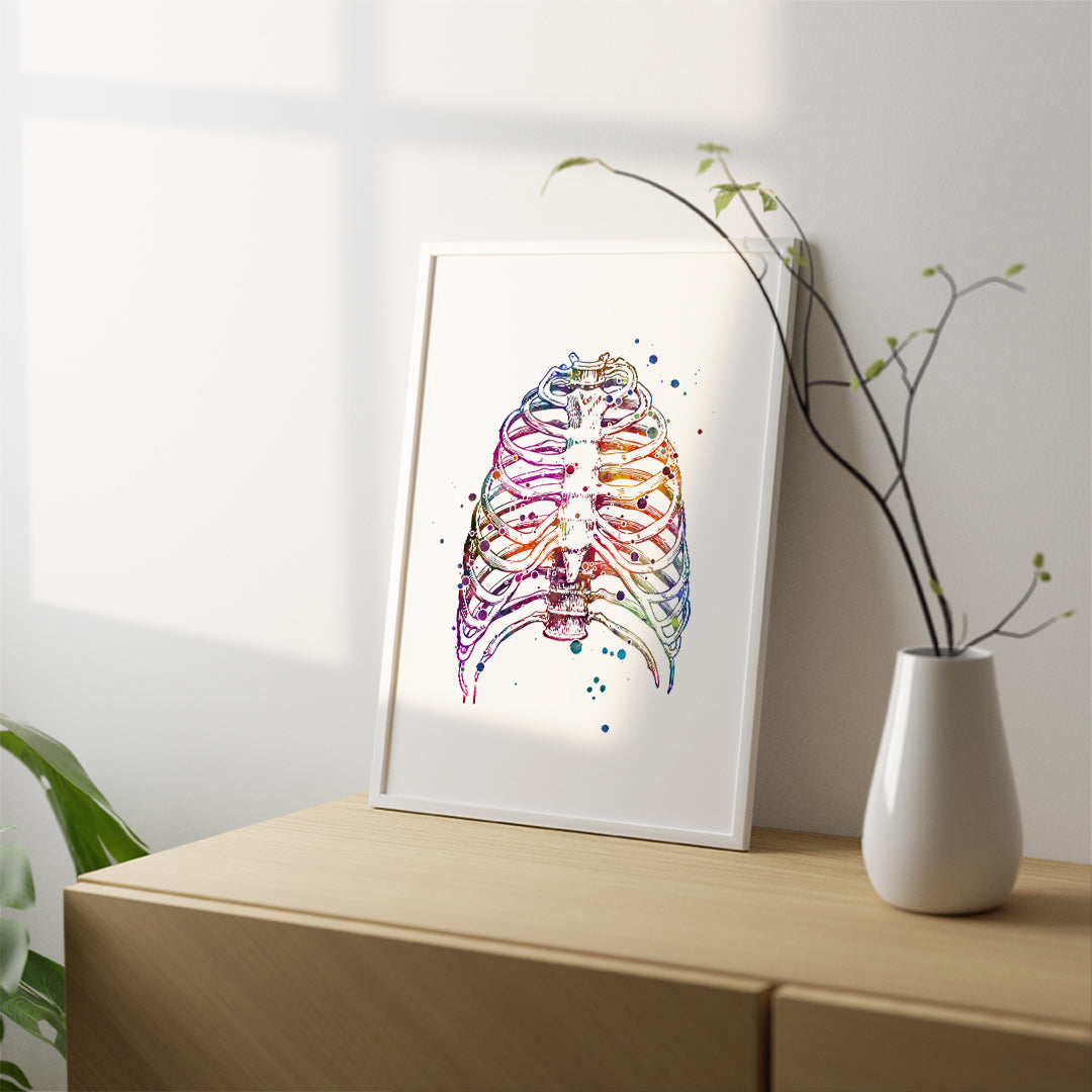 Thoracic Cage Rib Cage Anatomy Art Print