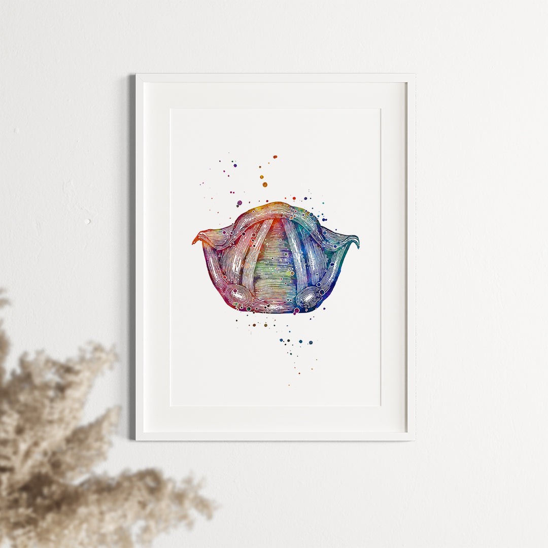 Vocal Cords Anatomical Art Watercolor Print